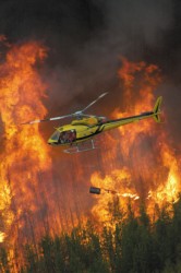 Helicopter fighting forest fires  file
