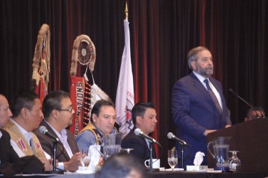 Thomas Mulcair was only party leader to participate in AFN's election debate
