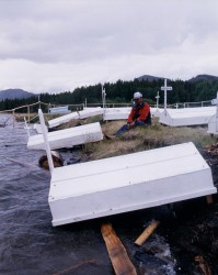 File photo of Cheslatta gravesite flooding from 1992.
