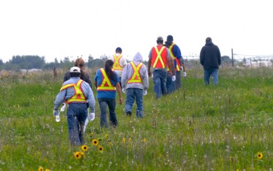 Volunteers scour an area west of Regina on Sept. 2.