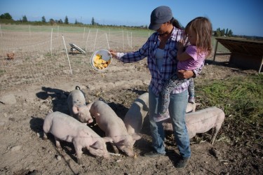 Variety of courses offered at the Farm School, even animal husbandry.