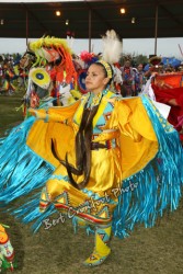 powwow samson cree nation ammsa aboriginal society multi