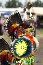 saddle lake powwow ammsa