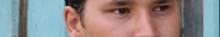 Don Amero banner