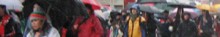 March banner